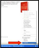 Screenshot of sample webpage with arrow indicating the technique of using the right click button to find the properties of an image